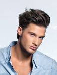 trend_2012