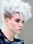 trend_2012