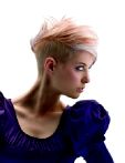 trend_2012