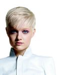 trend_2012