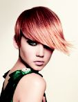 trend_2012