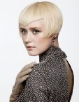 trend_2012