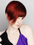 trend_2012
