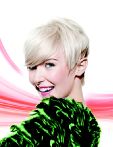 Intercoiffure France
