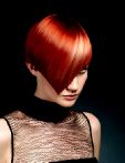 trend_2012