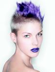 trend_2012