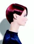 trend_2012