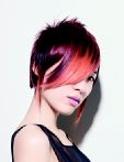 trend_2012