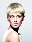 trend_2012