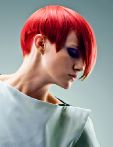 trend_2012