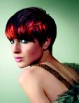 trend_2012