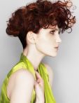 trend_2012