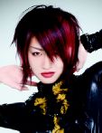 trend_2012
