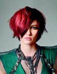 trend_2012