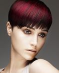 trend_2012