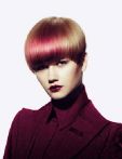 trend_2012