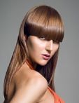 trend_2012
