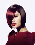 trend_2012