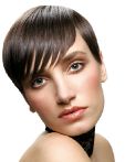 trend_2012